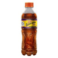Leão Power Açaí 450ml